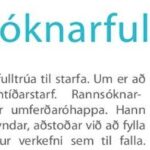 Árekstur.is - fúsk eða fagmennska?