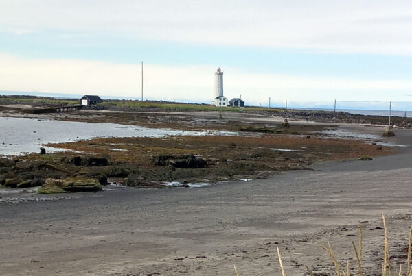 Horft eftir fjörunni til Gróttu.